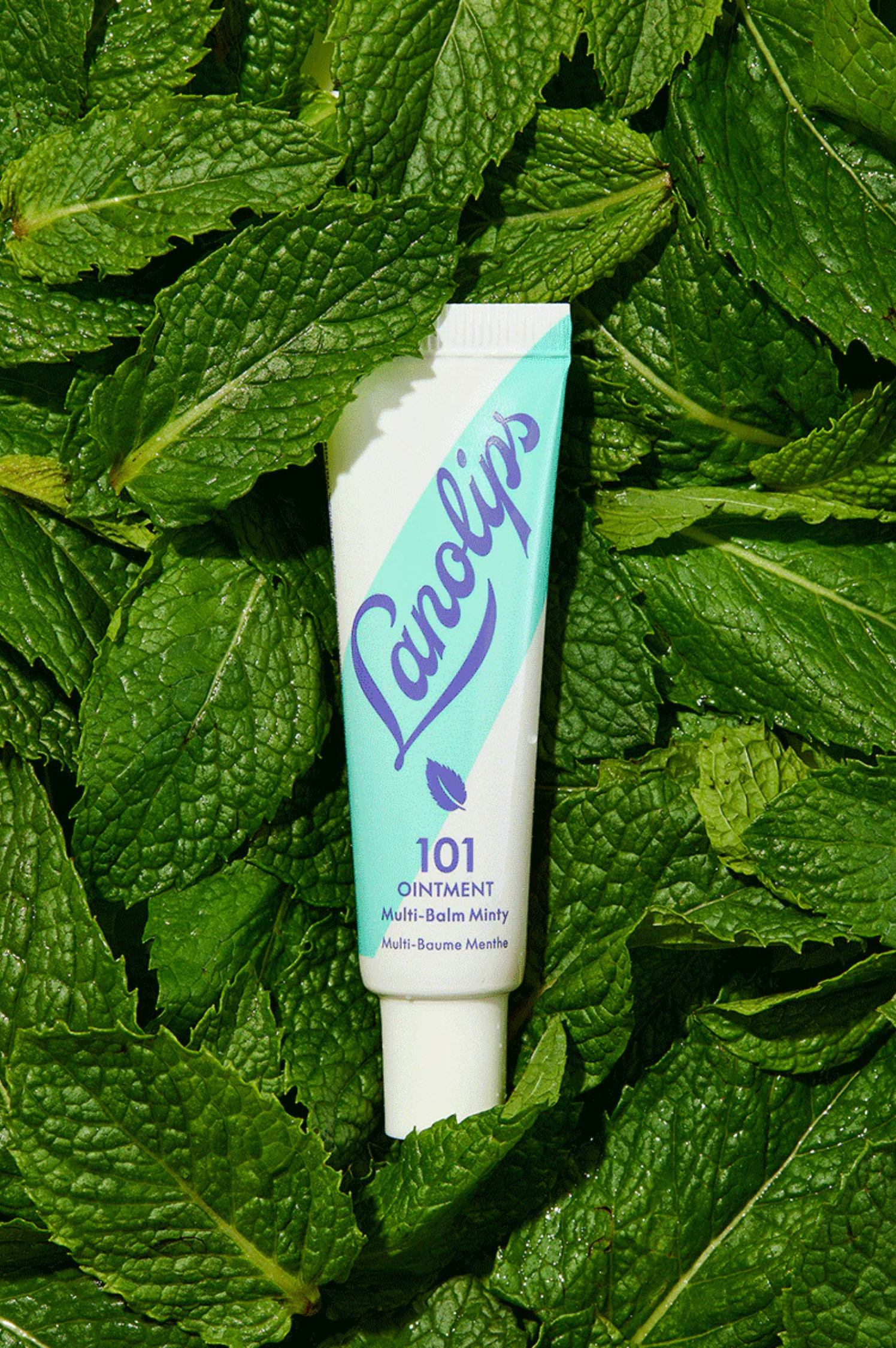 101 Ointment Multipurpose Superbalm