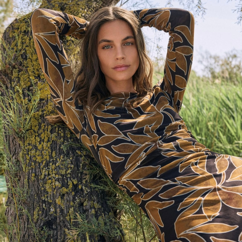 /collections/dresses