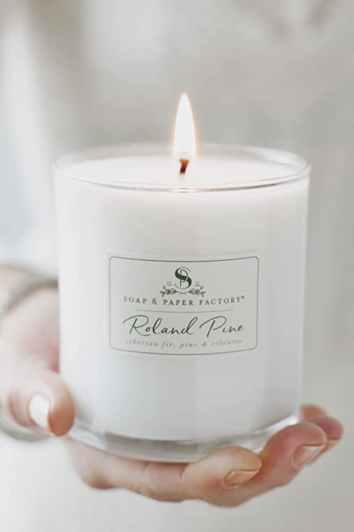 Roland Pine Soy Candle - 9.5 oz