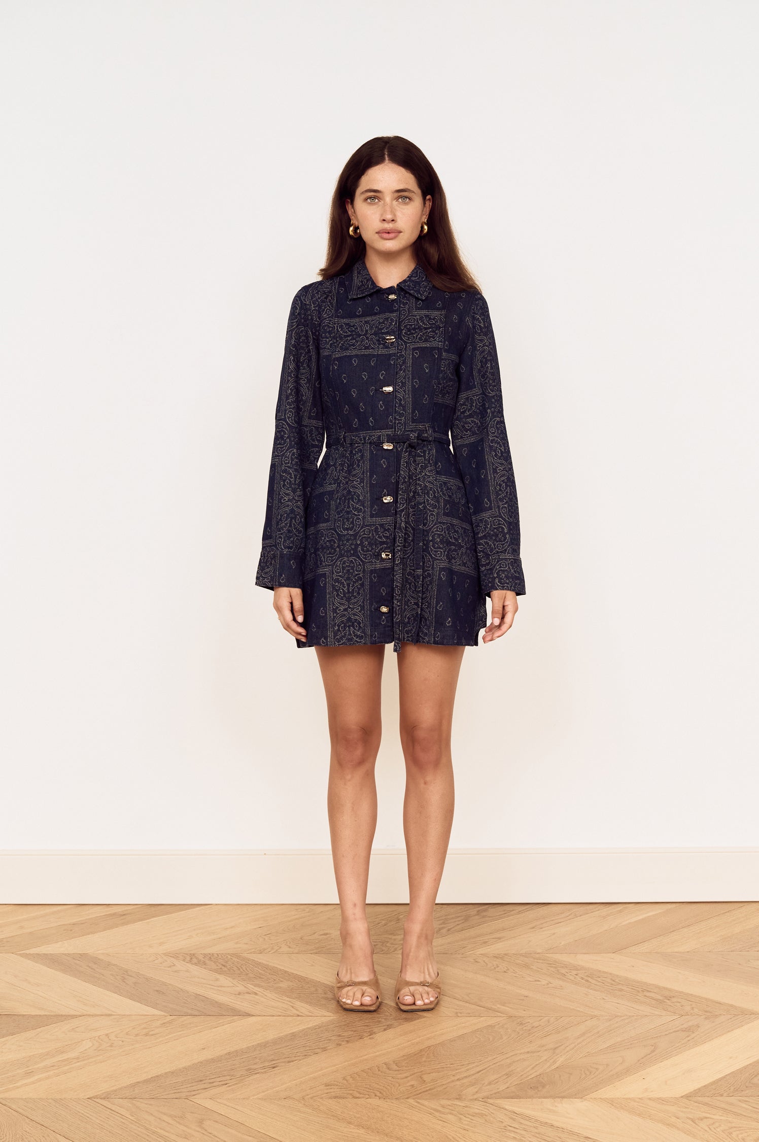 Delphi Jacquard Denim Dress