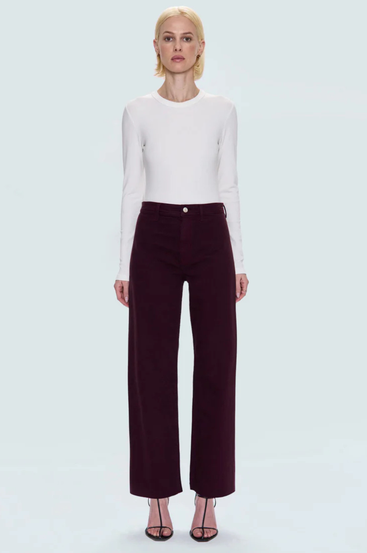 Penny High Rise Wide Leg Jean