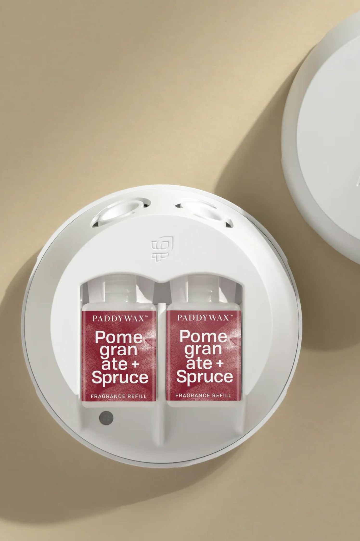 Paddywax - Pomegranate + Spruce