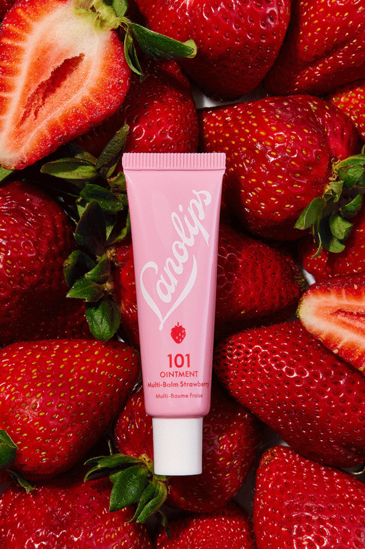 Wonderland Minis - 101 Ointment Multi-Balm