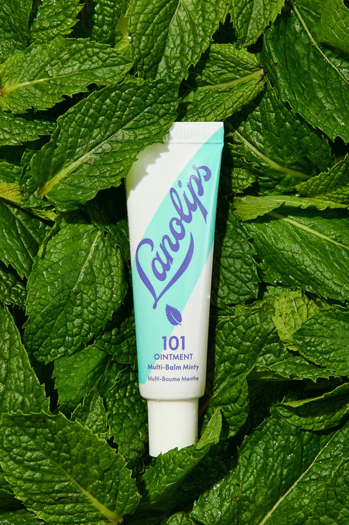 Wonderland Minis - 101 Ointment Multi-Balm