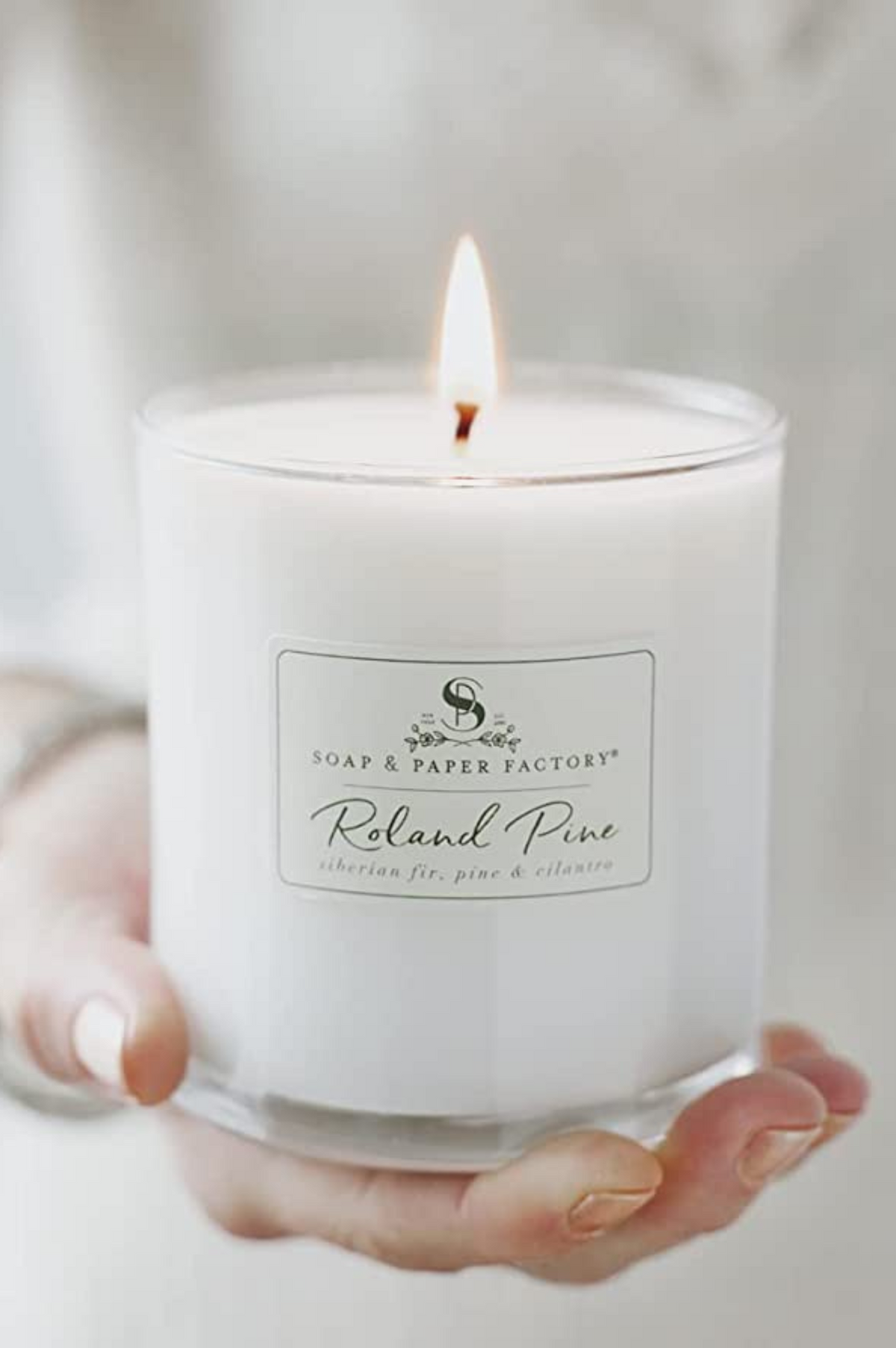 Roland Pine Soy Candle - 9.5 oz