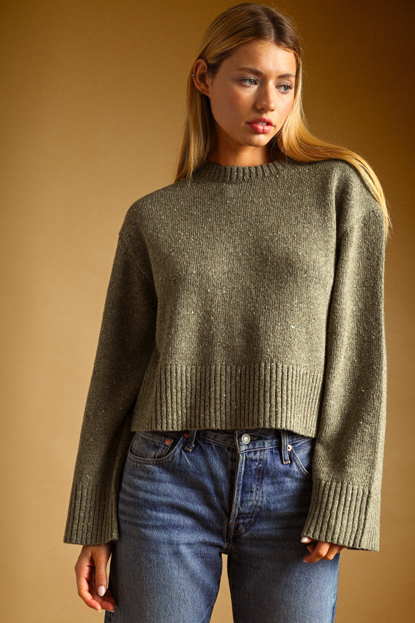 Laurel Sprinkled Sweater