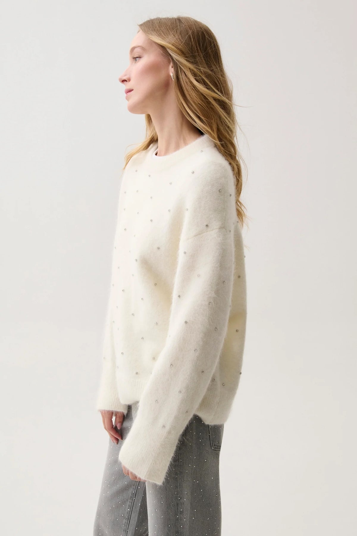 LUNA EMBELLISHED CREW NECK SWEATER