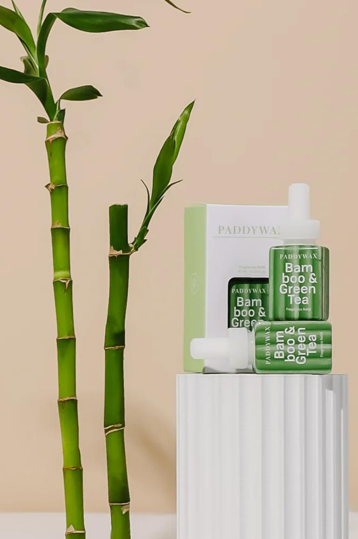 Paddywax - Bamboo &amp; Green Tea