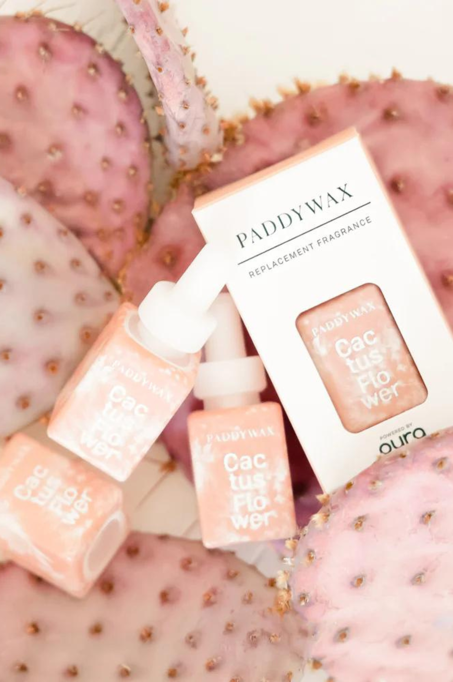 Paddywax Cactus Flower Fragrance Refill